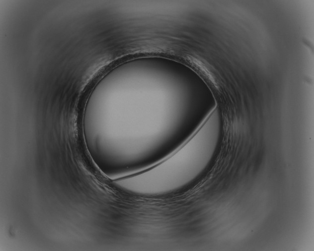 X0000093160676200709261036