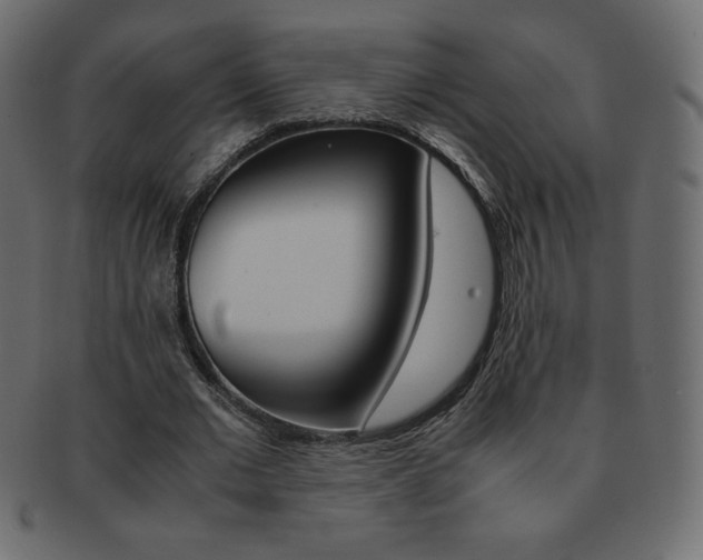X0000093160677200709261036