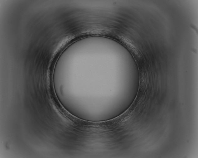 X0000093160678200709261036