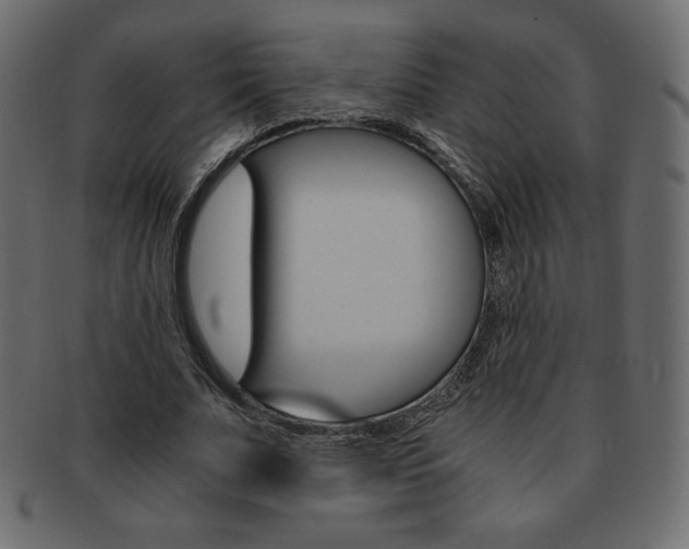 X0000093160679200709261036