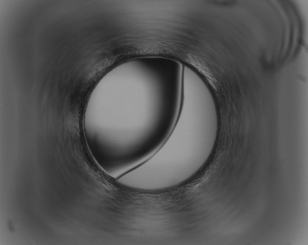 X0000093160681200709261036