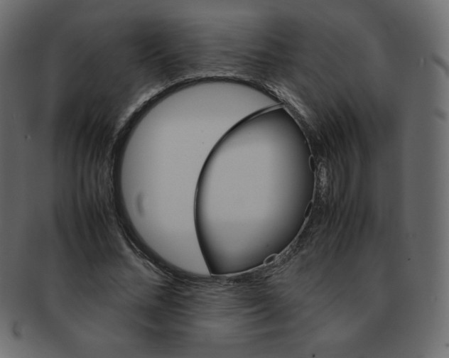 X0000093160684200709261036
