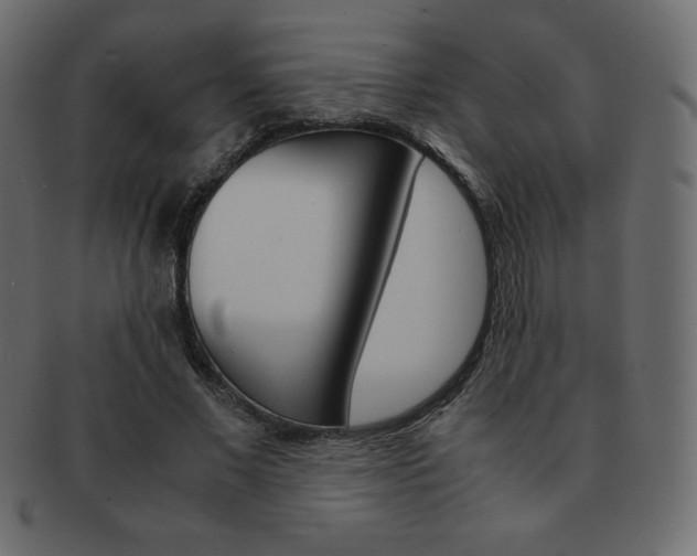 X0000093160685200709261036
