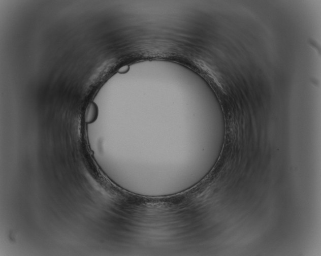 X0000093160686200709261036