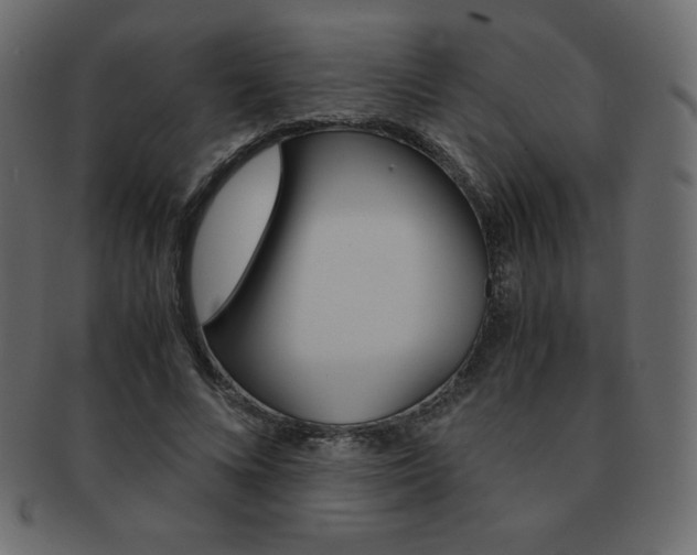 X0000093160688200709261036