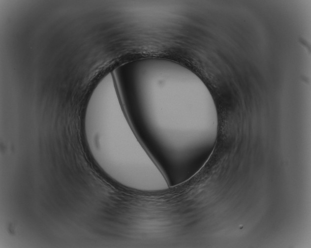 X0000093160689200709261036