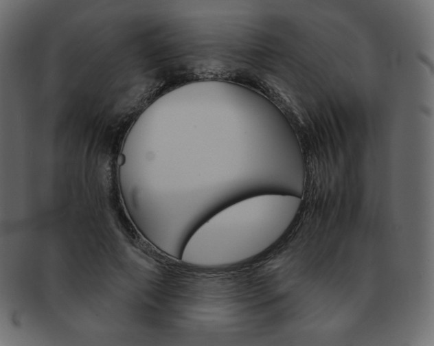 X0000093160690200709261036