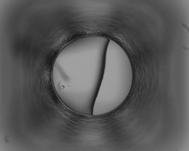 X0000093160691200709261036