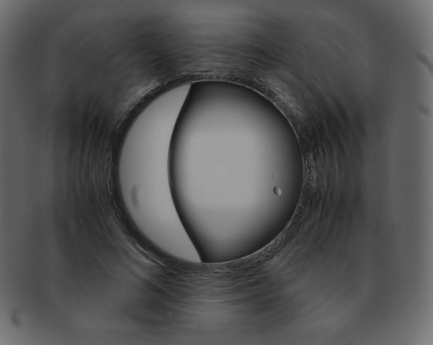 X0000093160692200709261036