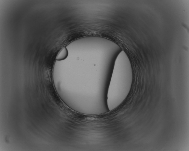 X0000093160699200709261036