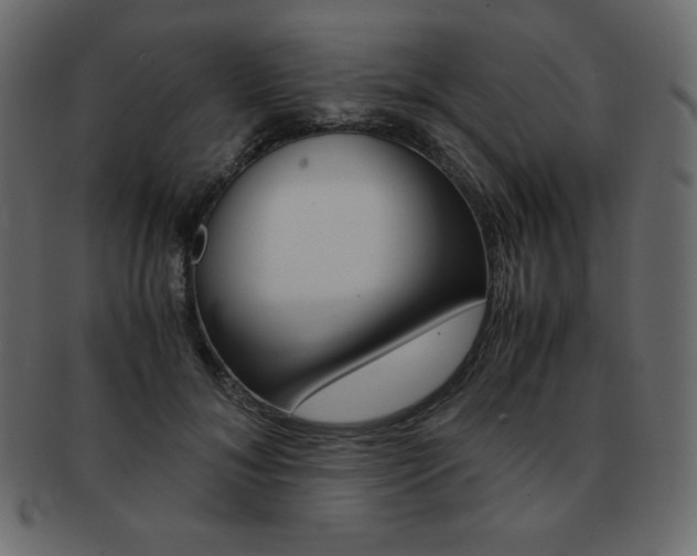 X0000093160700200709261036