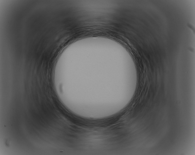 X0000093160701200709261036