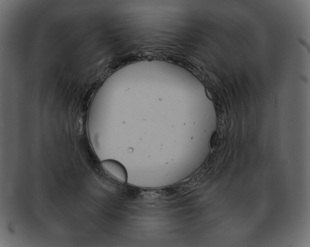 X0000093160703200709261036
