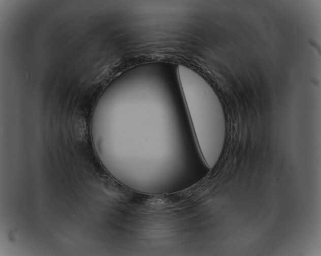 X0000093160704200709261036