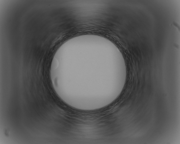 X0000093160705200709261036