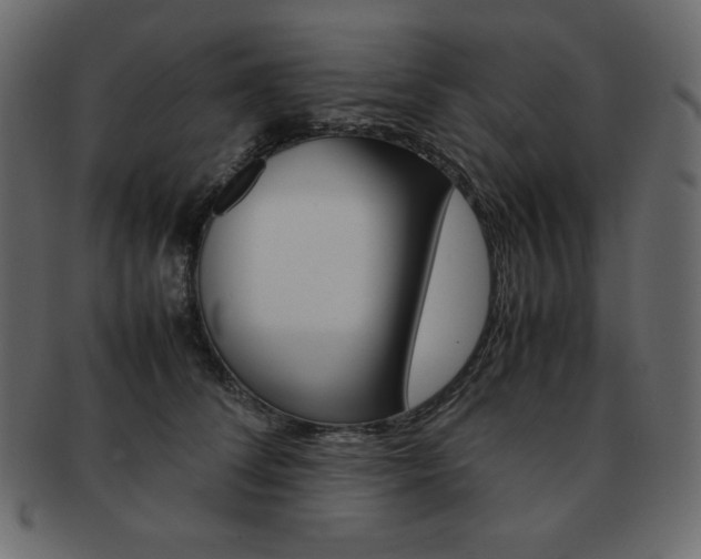 X0000093160708200709261036