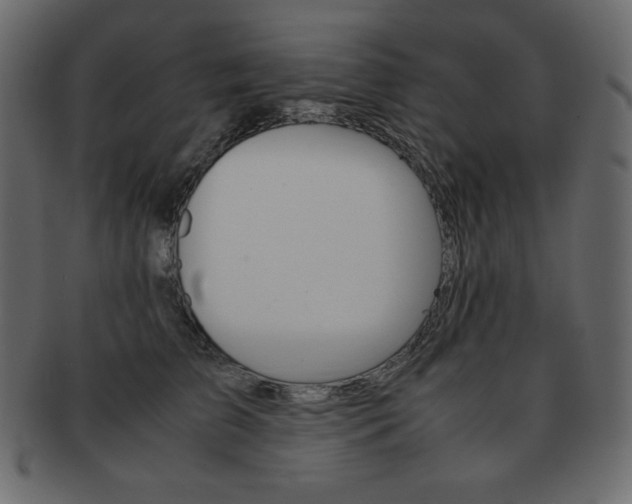 X0000093160709200709261036