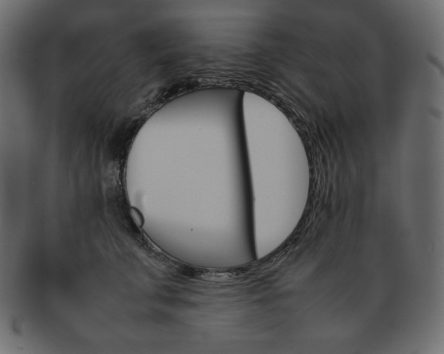 X0000093160711200709261036