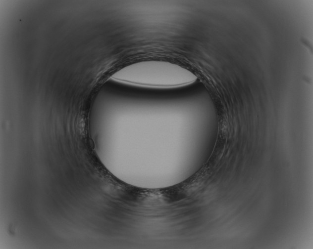 X0000093160715200709261036