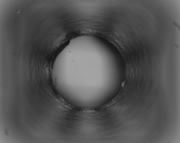 X0000093160716200709261036