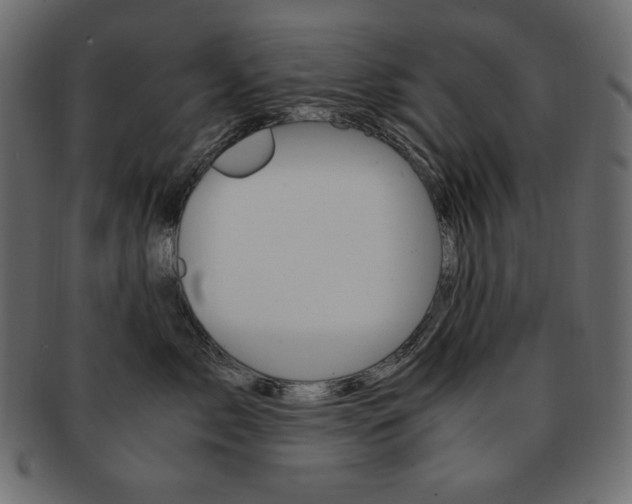 X0000093160717200709261036