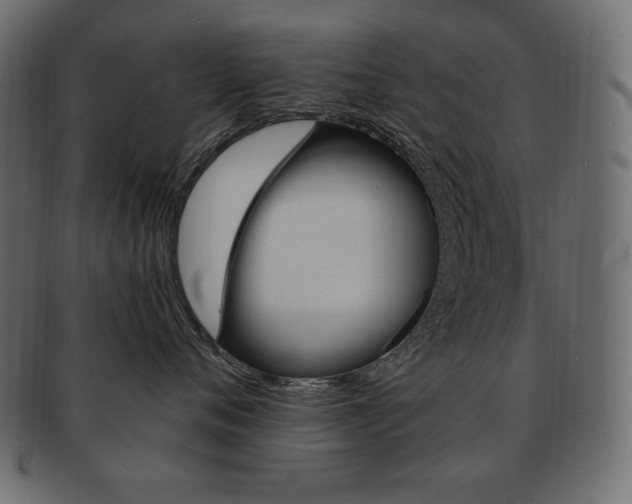X0000093160720200709261036
