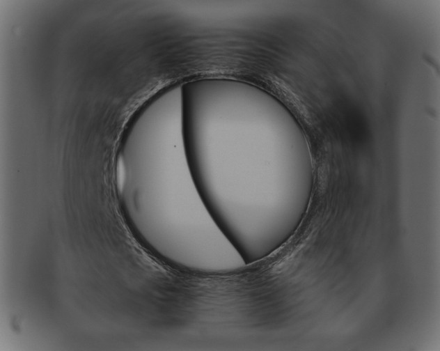 X0000093160721200709261035