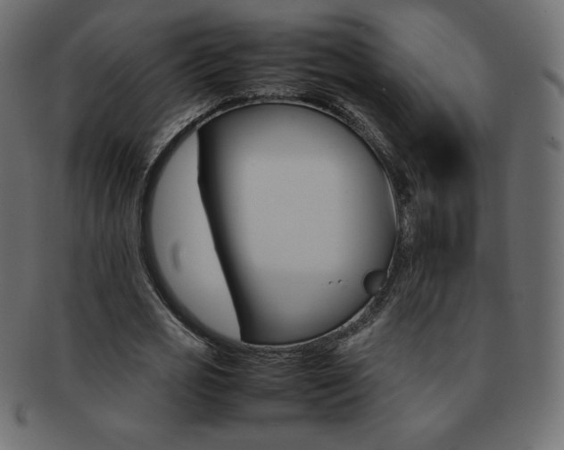 X0000093160725200709261035