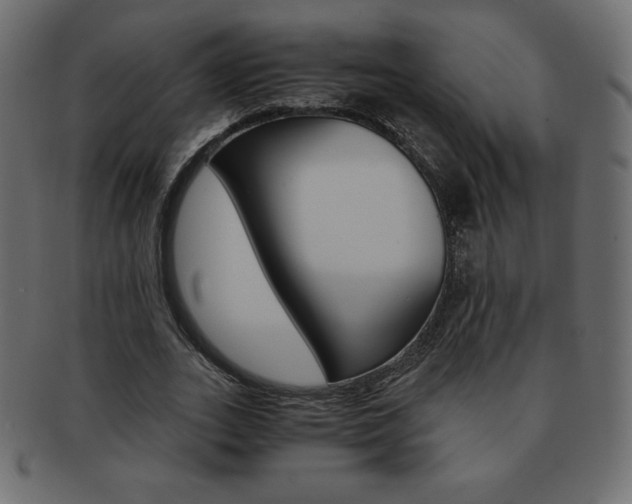 X0000093160727200709261035
