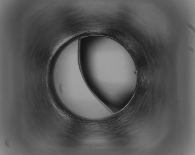 X0000093160728200709261035