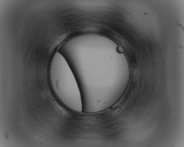X0000093160729200709261035