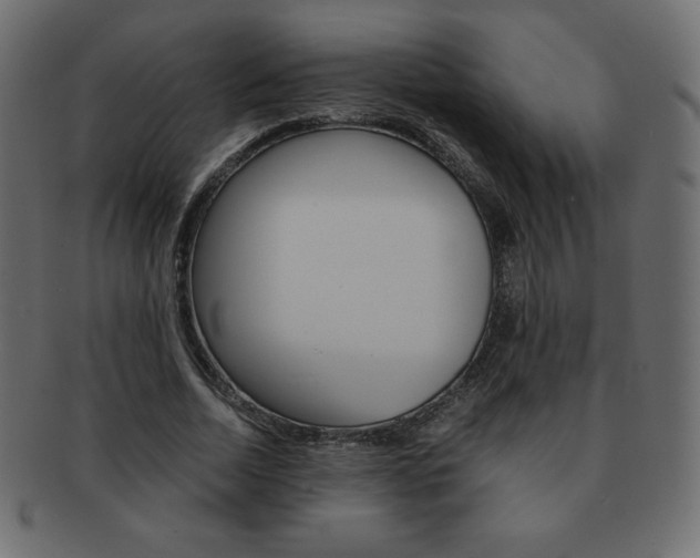 X0000093160730200709261035