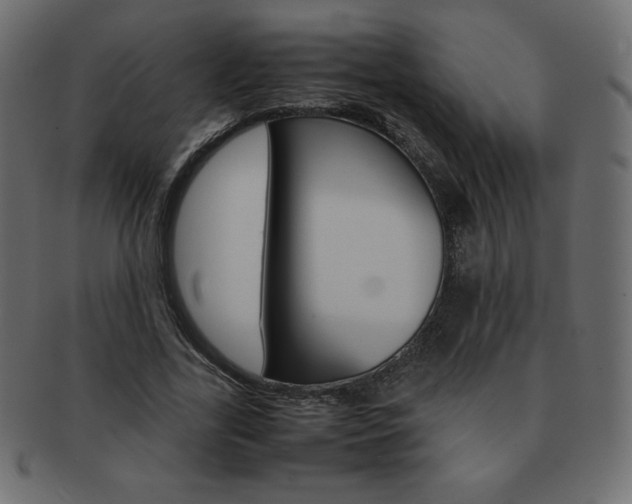 X0000093160731200709261035
