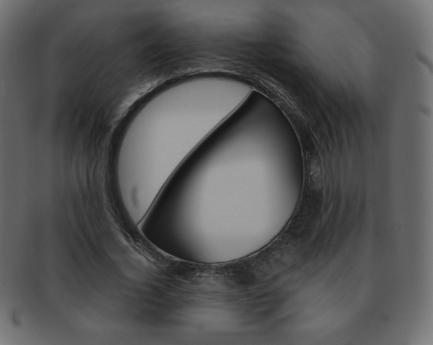 X0000093160732200709261035