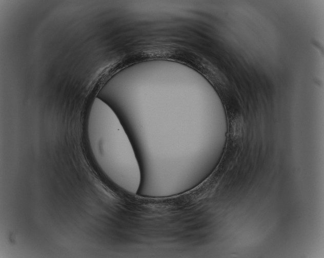 X0000093160733200709261035