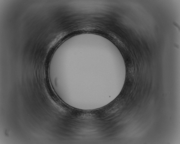 X0000093160734200709261035