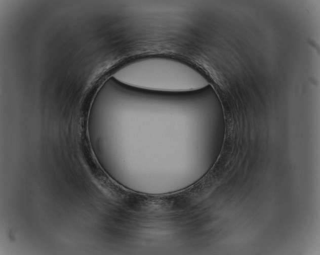 X0000093160736200709261035