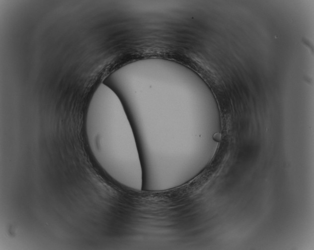X0000093160737200709261035