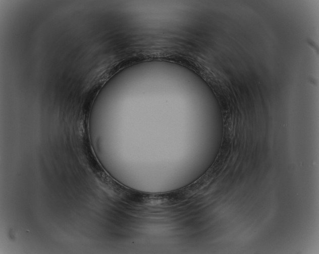 X0000093160746200709261036