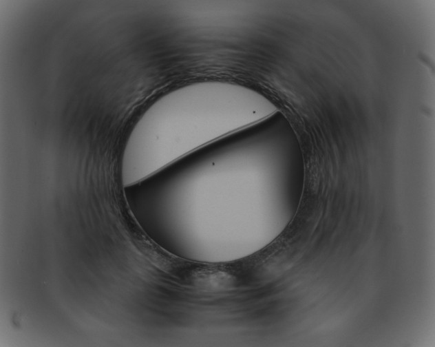 X0000093160747200709261036