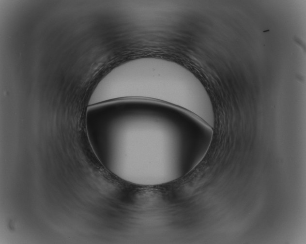 X0000093160750200709261036