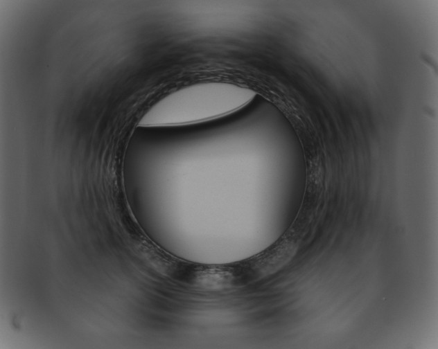 X0000093160754200709261036