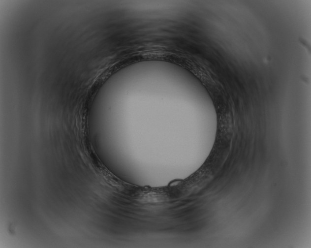 X0000093160755200709261036