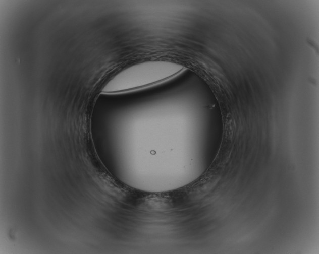 X0000093160756200709261036