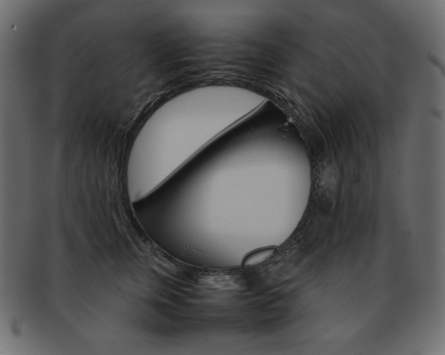 X0000093160759200709261036