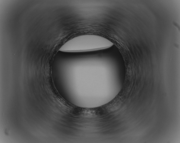 X0000093160760200709261036