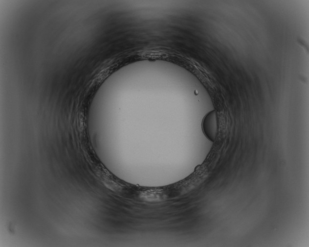 X0000093160761200709261036