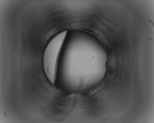 X0000093160762200709261036