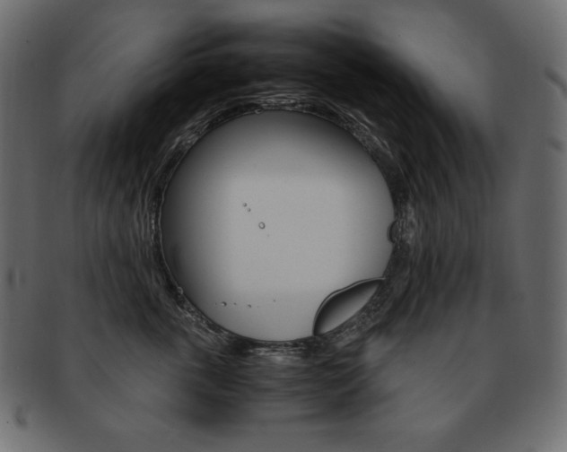 X0000093160763200709261036