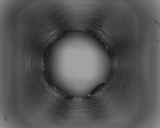 X0000093160764200709261036
